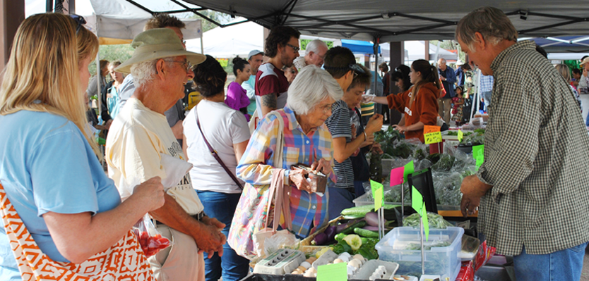 For the Love of Growing Larry’s Veggies / Heirloom Farmers Markets